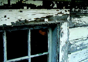 lead paint inspection